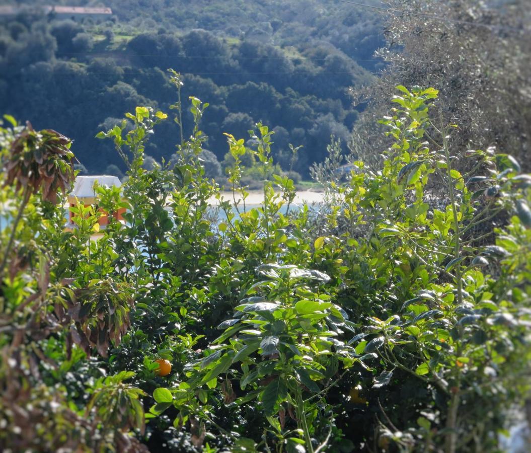 Casa Da Barra Azul By Stay In Alentejo วิลานอวา ดิ มิลฟงติส ภายนอก รูปภาพ